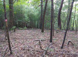 0 Circle Dr #J-371-2, Ellijay, GA 30536