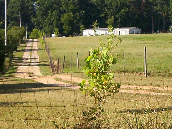 looking up driveway from road