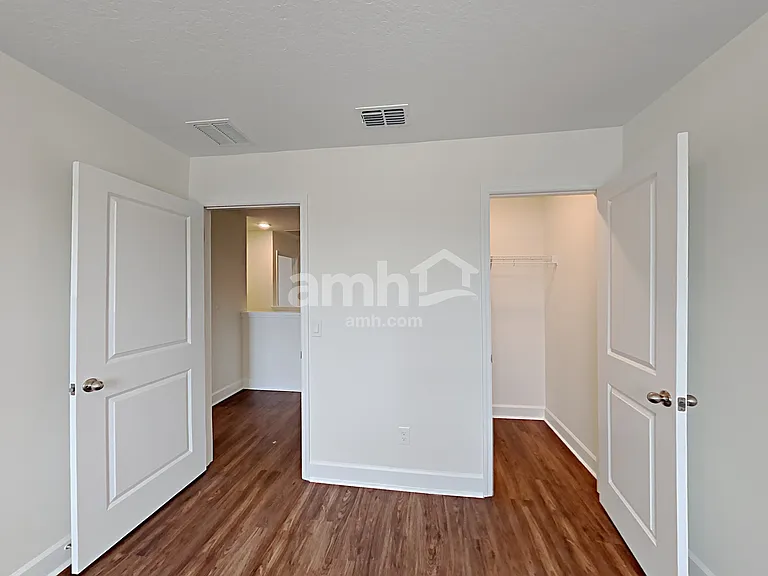1397 Celery Palm Cv — Photo 20