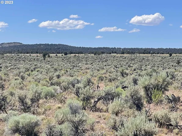 Browns Valley Rd #503, Christmas Valley, OR 97641