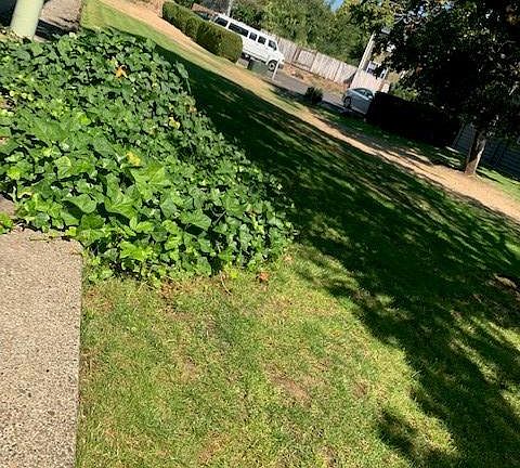 another view of middle yard