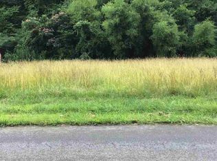 Willa View Dr, Pigeon Forge, TN 37863