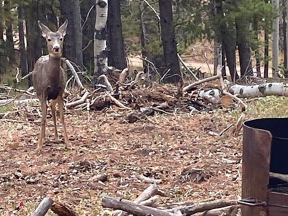 3rd image of 0 Manly Rd