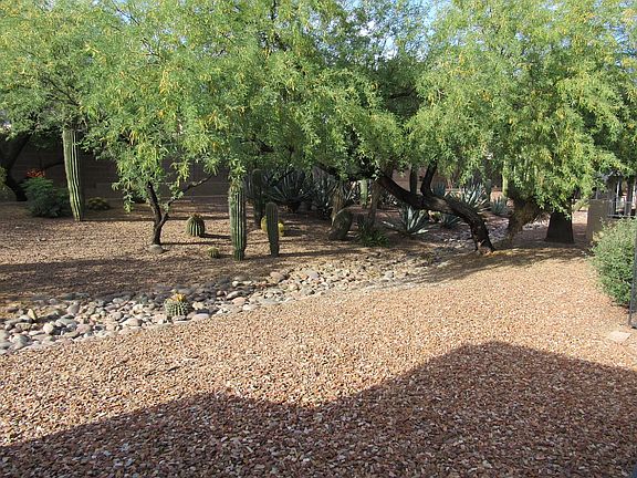 View from Back Porch