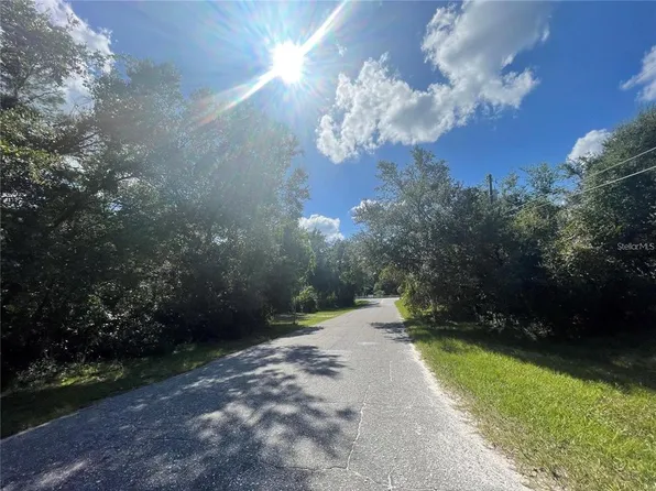 32030 WACASSA TRAIL LOT 50, SORRENTO, FL 32776