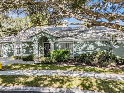 407 Georgetown Pl, Safety Harbor, FL, 34695