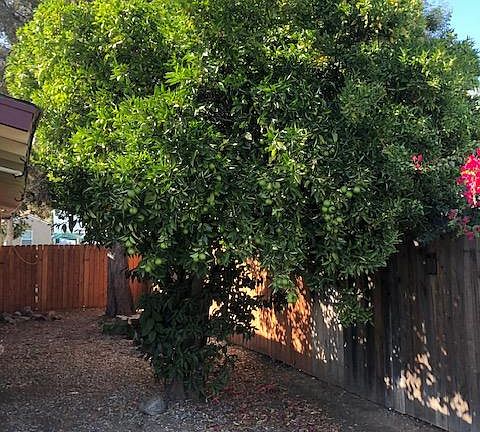 5th image of (Undisclosed Address)