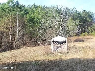 2nd image of 200 County Road 271