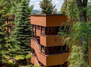 950 Vine St #950, Aspen, CO 81611