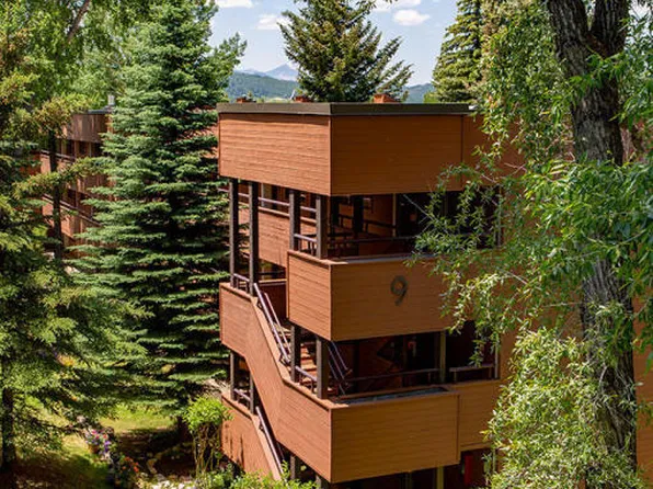 950 Vine St #950, Aspen, CO 81611