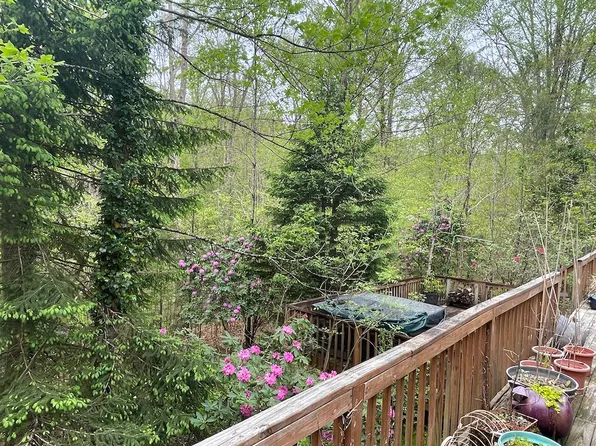 222 Malcomb Ln, Summersville, WV 26651