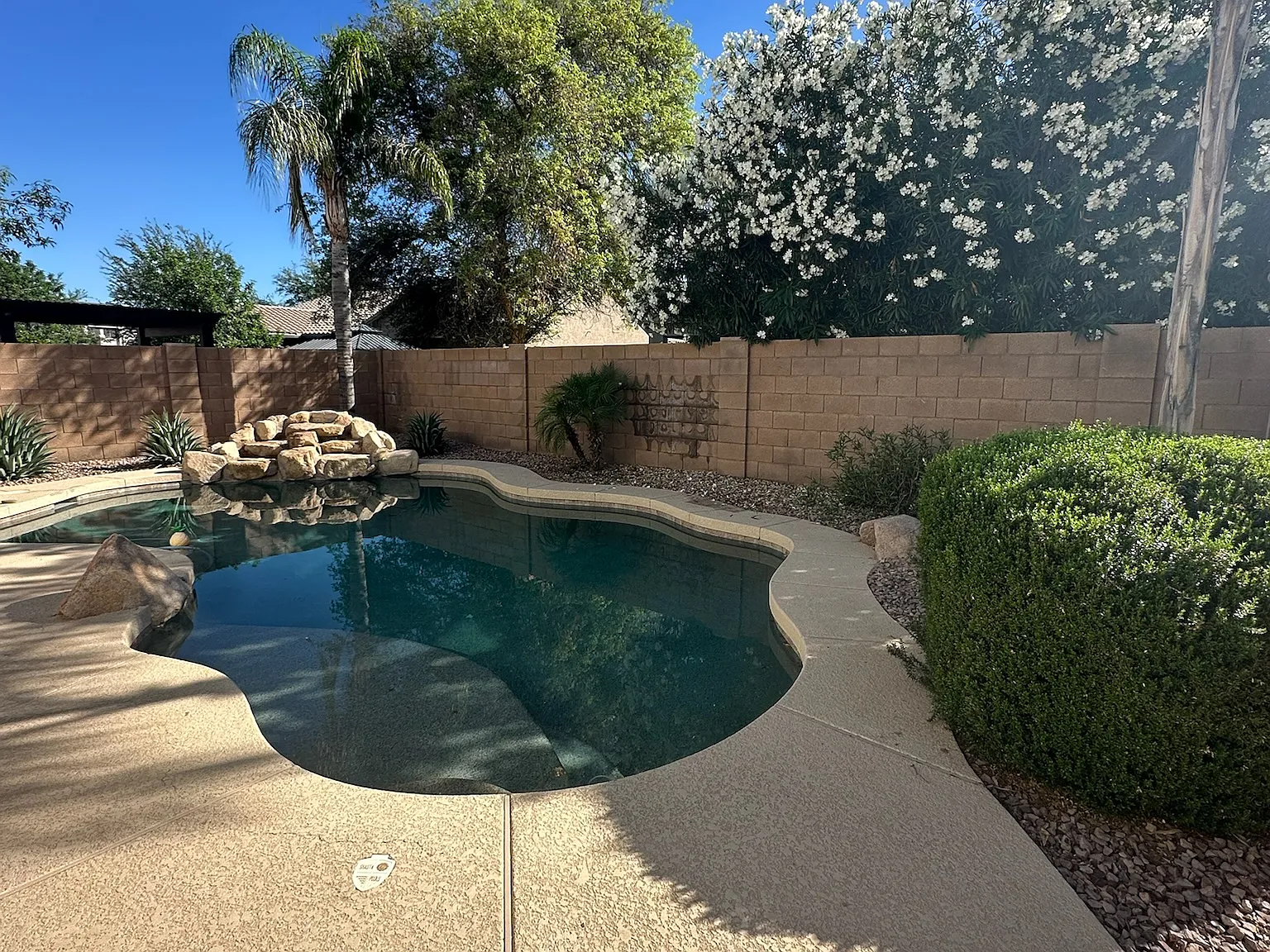 S Odessa Dr, Gilbert — Photo 3