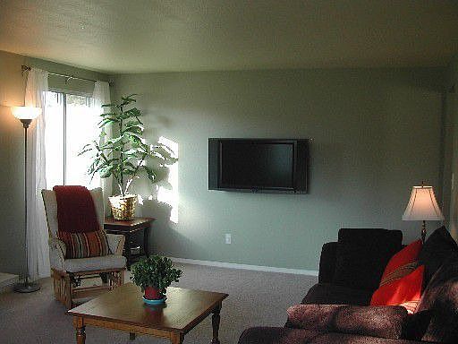 Living room, (flat screen stays with new buyer)
