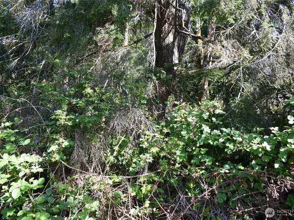 130 W Satsop Drive, Elma, WA 98541