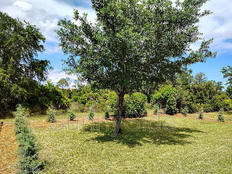 1047 Oak Bluff Dr — Photo 36