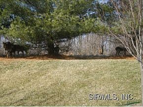 2nd image of 883 Prestonwood Dr