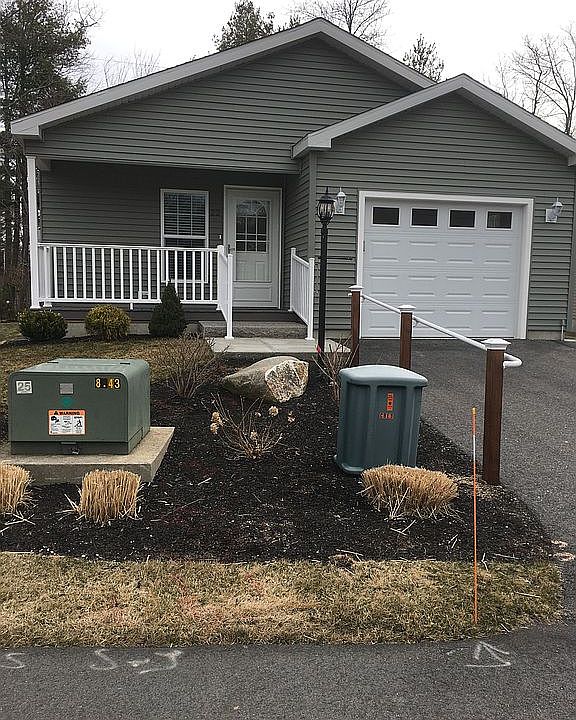 Sea grass &flowering bushes