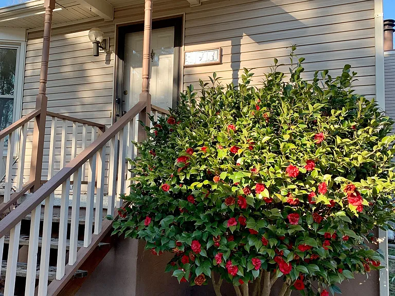 4 Baytree Ct #A — Photo 1