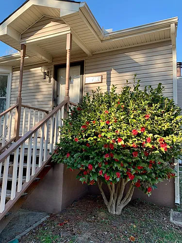4 Baytree Ct #A Photo 1