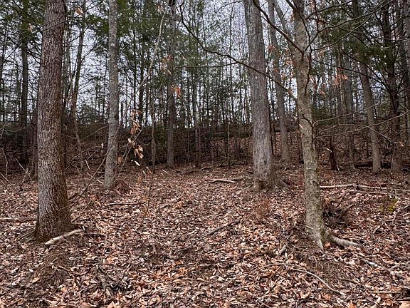 5th image of 55 Ridge Rd