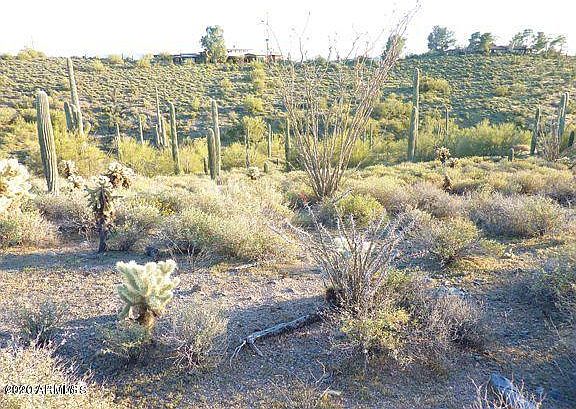 4th image of 38835 N Crested Quail Run #15