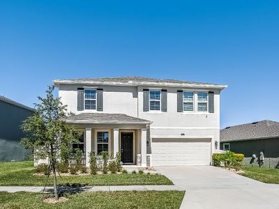 10875 Tally Fawn Loop, San Antonio, FL, 33576