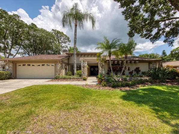 3332 Pattie Pl, Palm Harbor, FL 34685