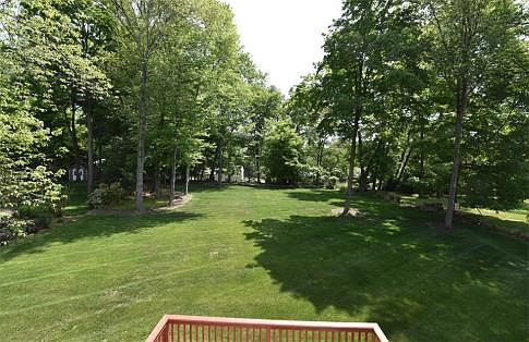 Incredible Rear Yard