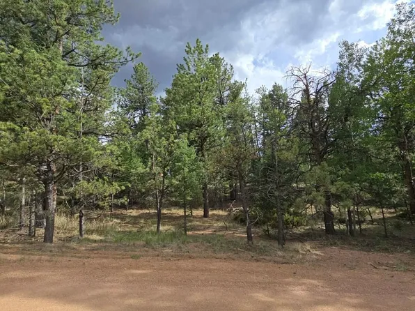 182 Wasatch Ln, Florissant, CO 80816