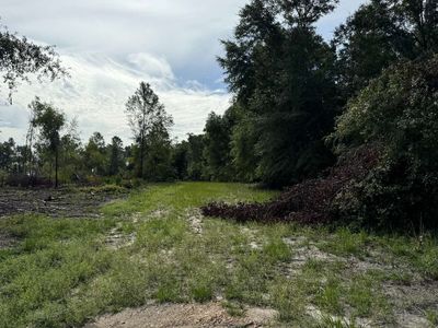 0 NW Sophie Dr, White Springs, FL, 32096