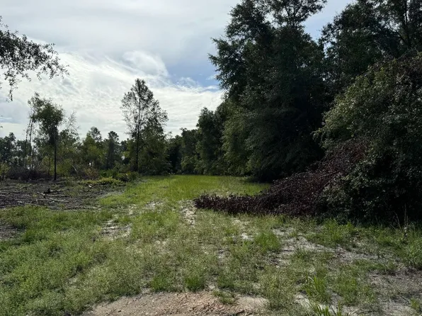 0 NW Sophie Dr, White Springs, FL 32096