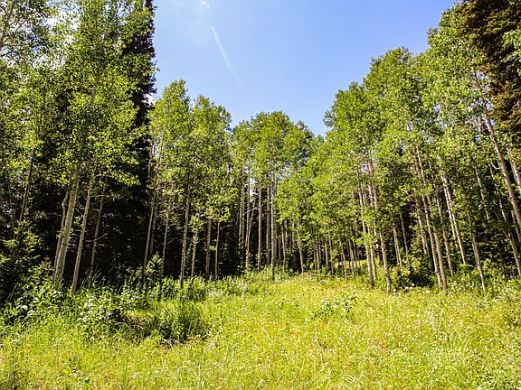 4th image of 306 White Pine Canyon Rd Lot 306
