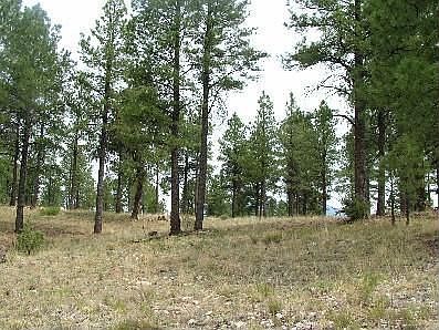 3rd image of 3254 S Tehama Cir