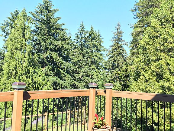 View off back deck