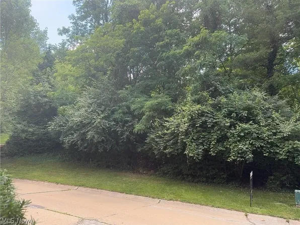 Belleau Wood Dr, Akron, OH 44303