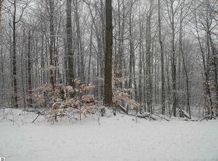 11 Wind Ridge Dr, Bellaire, MI 49615