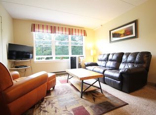 28 Packard Rd #316, Waterville Valley, NH 03215