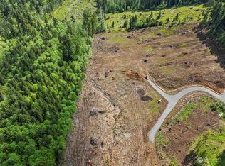 0 Spirit Lake Hwy LOT 3, Castle Rock, WA