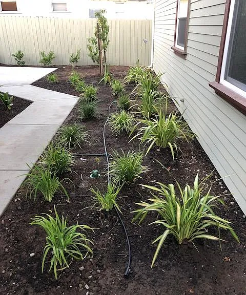 N Madrona Ave — Photo 18