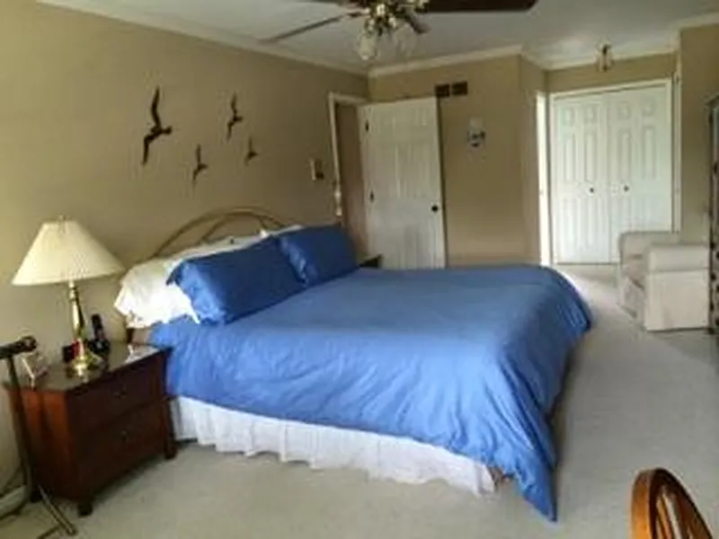 Thumbnail 13