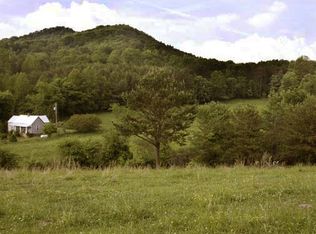 1143 Ford Rd, Warne, NC 28909