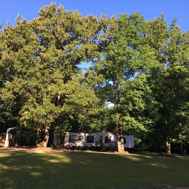 2nd image of 114 Scarlett Oaks Dr