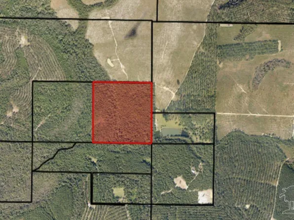 500 Wayne Bowman Rd, Jay, FL 32565
