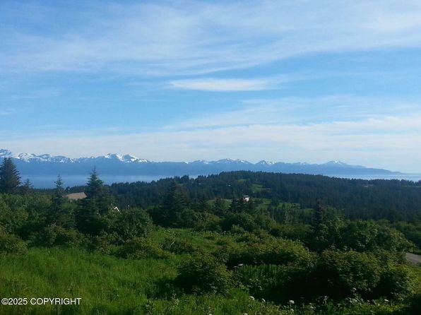 41650 Charlie Dr, Homer, AK 99603