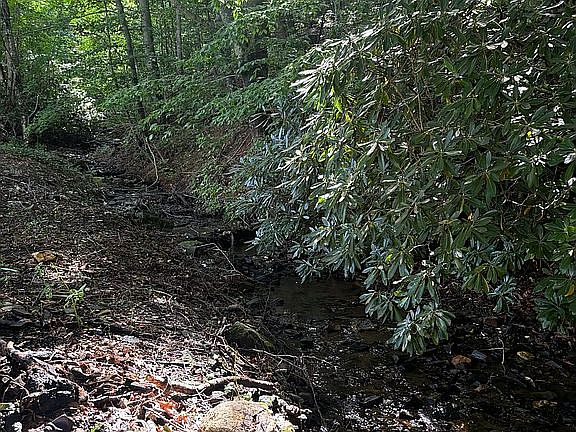 3rd image of 340 Rocky Gap Rd