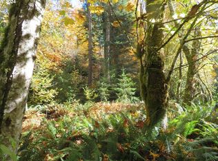 Grimes Rd, Toledo, WA 98591