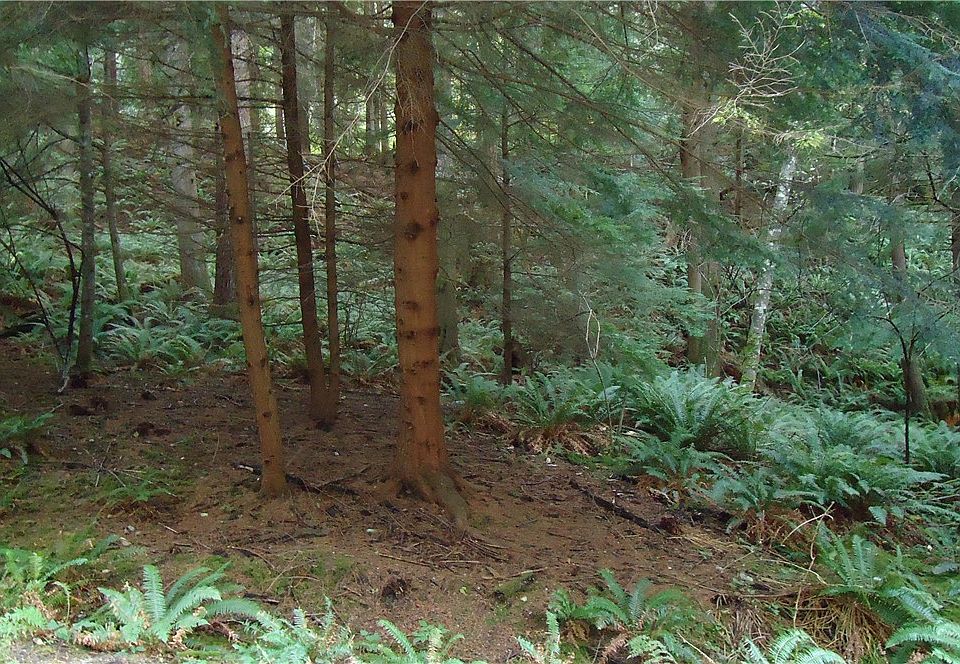 1st image of 15 Wisteria Ln