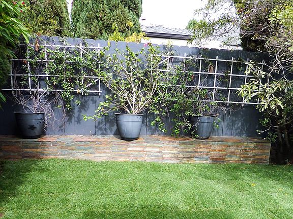 Lawn and yard in enclosed area
