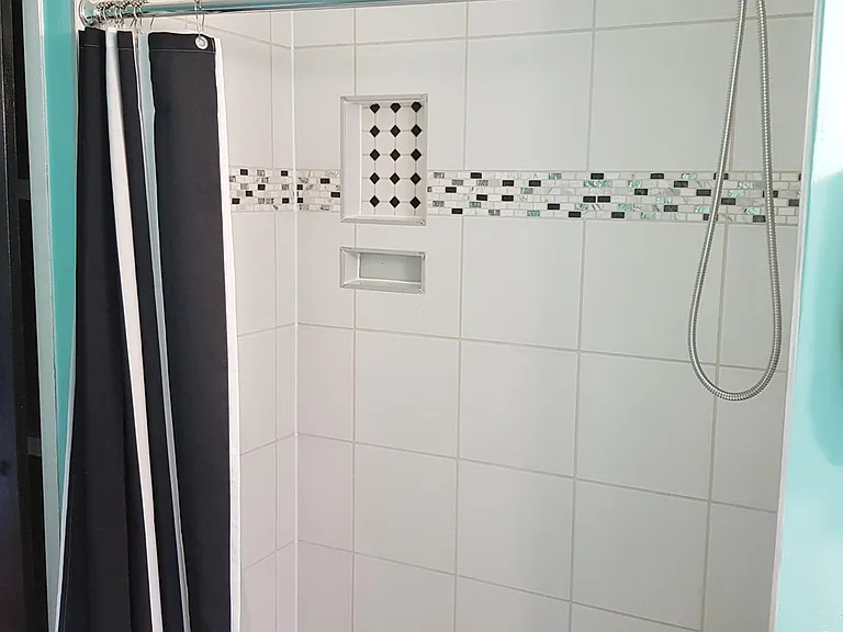 Guest Bathroom Shower2