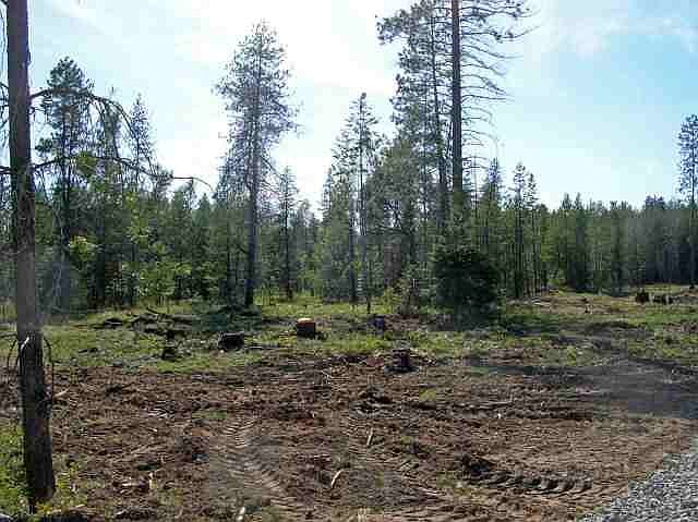 2nd image of 0 N Shore Rd